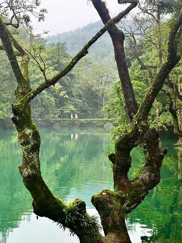 荔波小七孔風景區