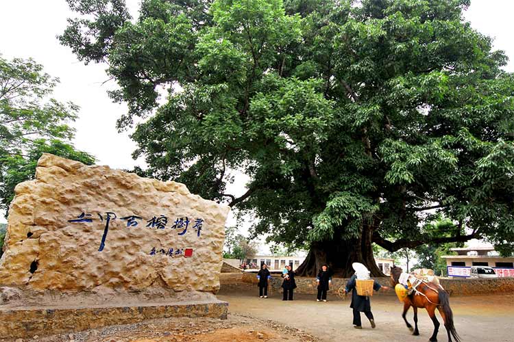 關嶺上甲布依古寨旅游景區