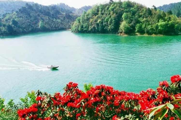 長順杜鵑湖景區