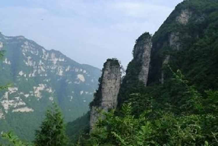 桐梓柏箐自然保護區