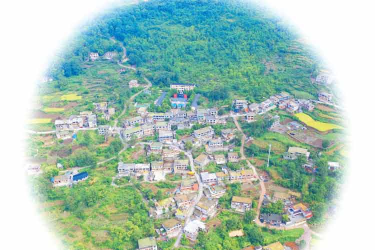 貓跳河畔索橋村