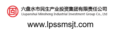 六盤水市民生產業投資集團有限責任公司的網址域名